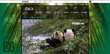 成都大熊猫繁育研究基地-iPanda