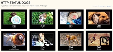 HTTP状态码与狗狗-HTTP Status Dogs
